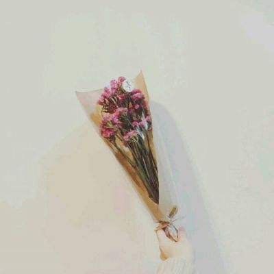网易异次元战姬下载